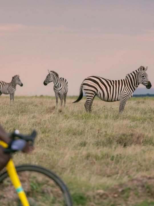 Safari Gravel Race